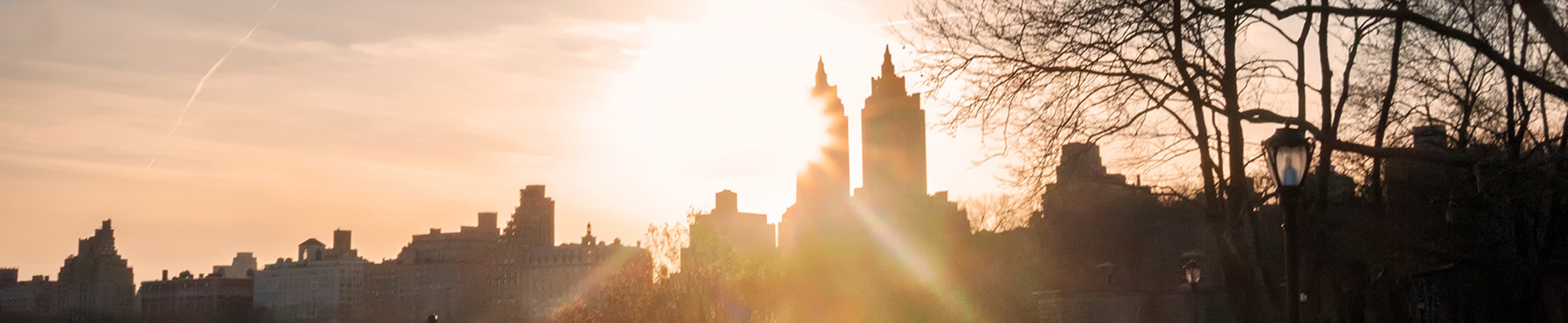 { Banner Image }